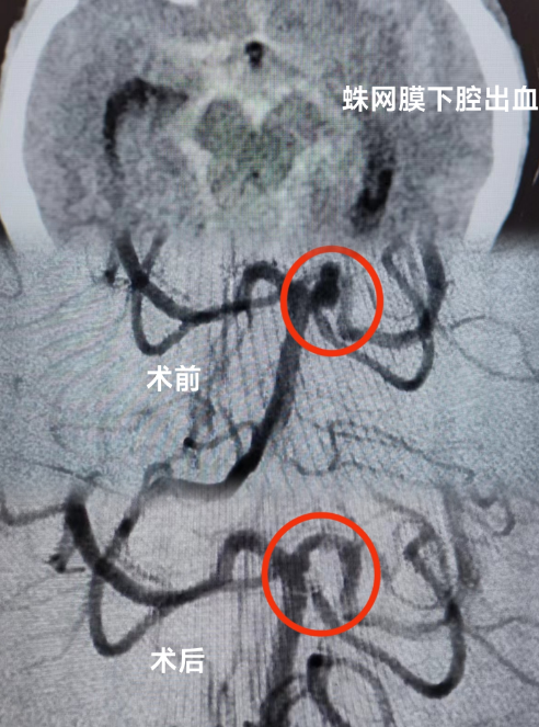 640 (10).png 640 (10).png