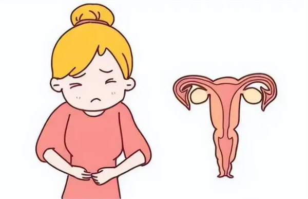 微信图片_20240816092726.png 微信图片_20240816092726.png